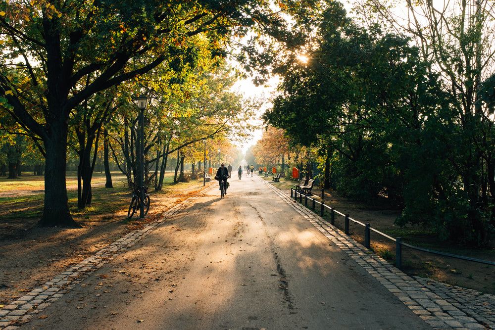 Faster than a car. Every morning.