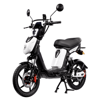 SX-250 Series 4 eBike